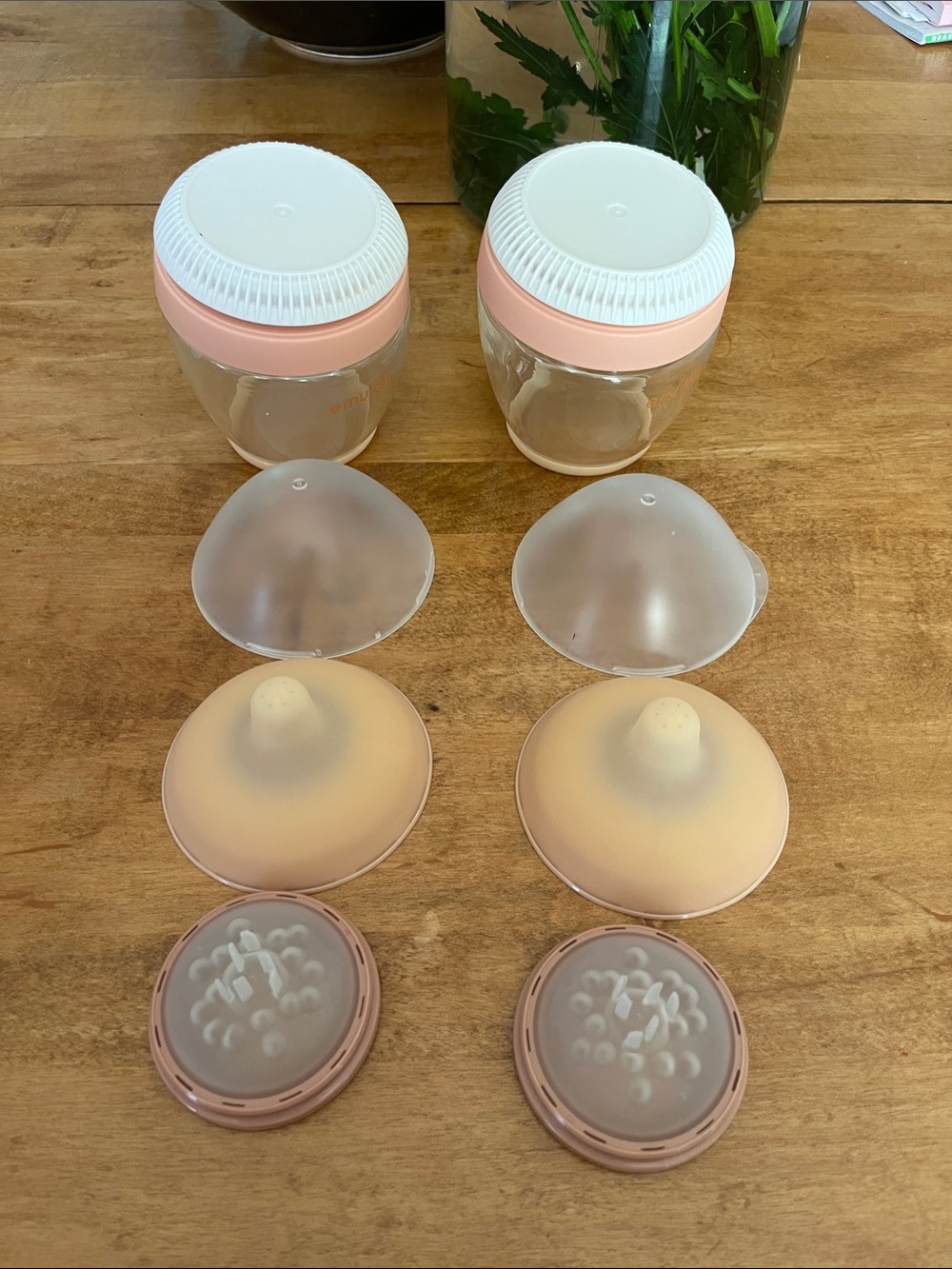 Emulait Glass Baby Bottles